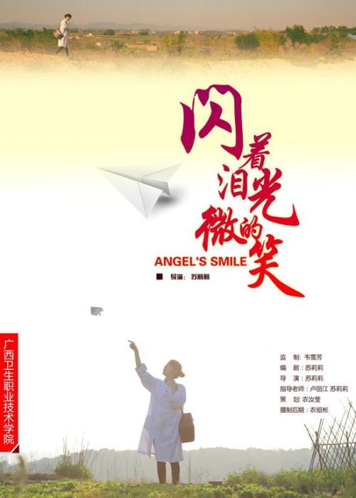 联邦大学ComputerScienceDiploma